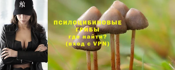 винт Алзамай