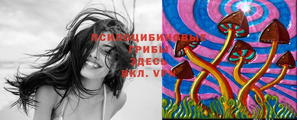 винт Алзамай